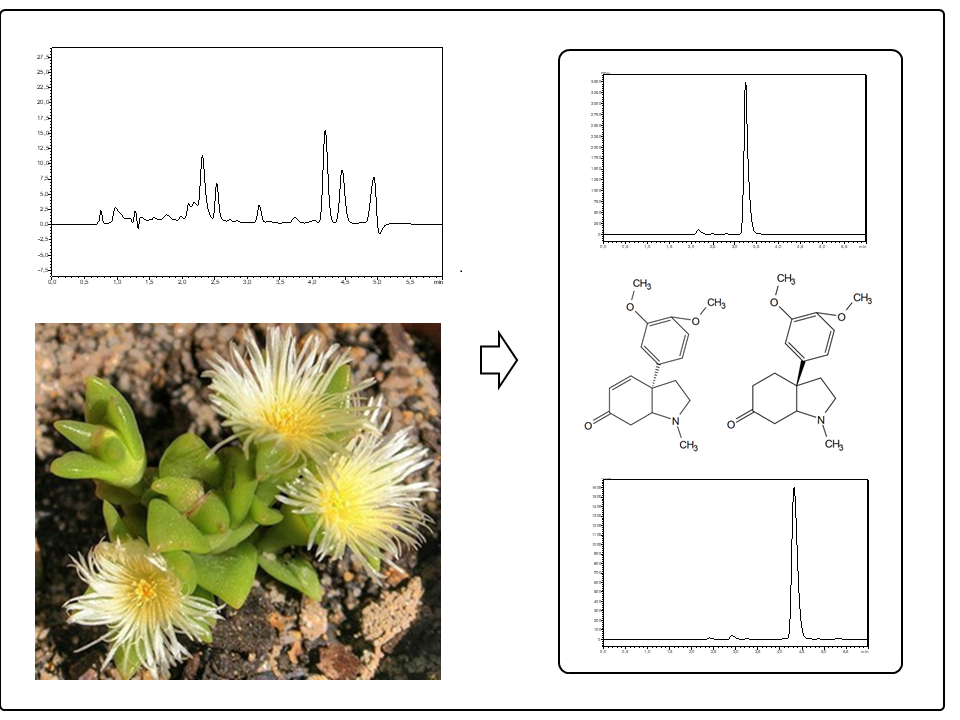 Graphical abstract